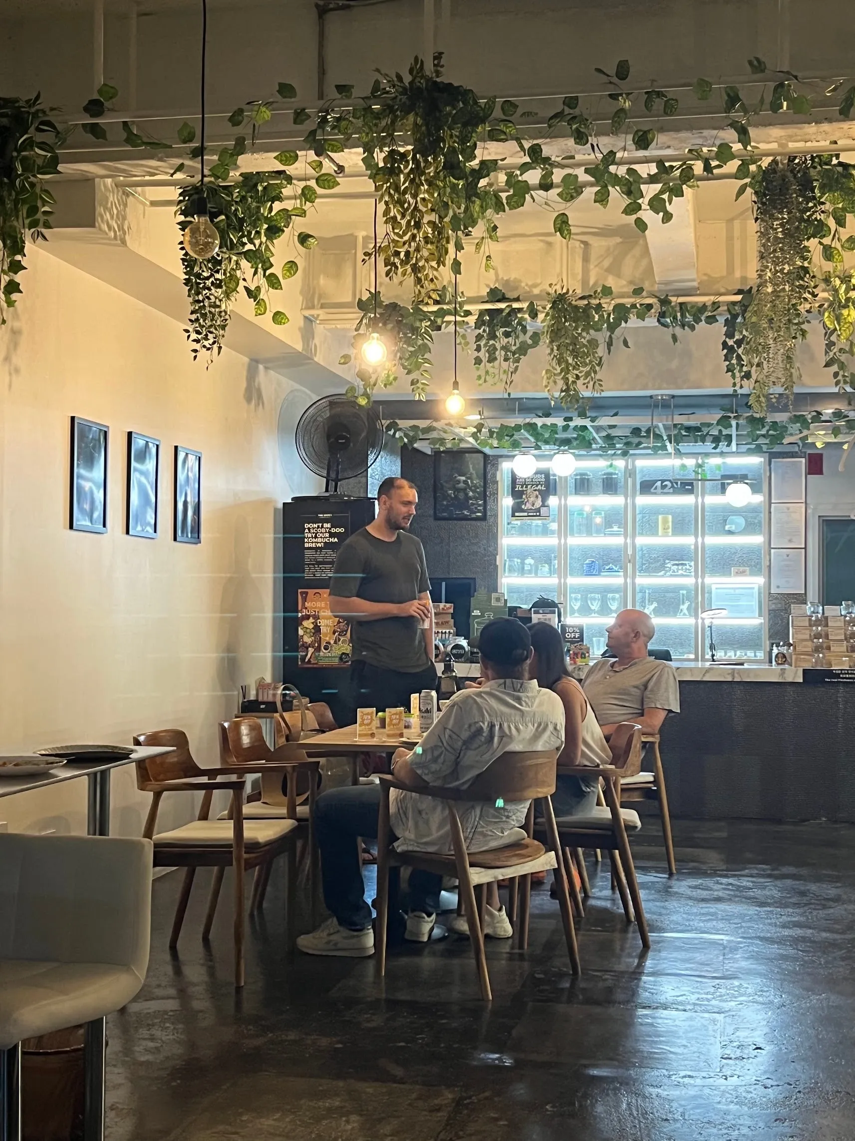 Tables and chairs in the lounge with hanging plants and framed artwork on the wall