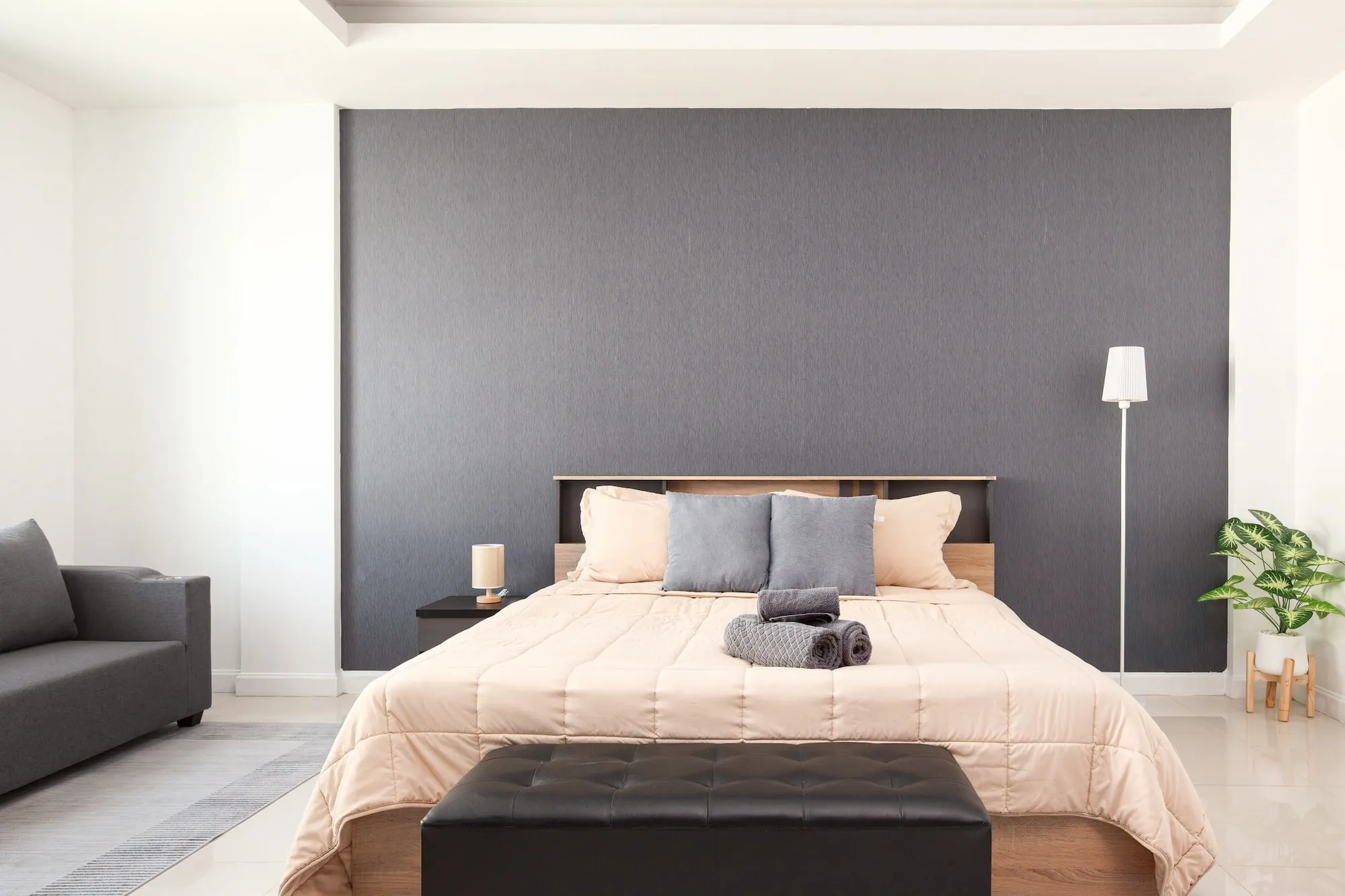 A Safehouse studio apartment on the third floor, double bed against a charcoal feature wall with a floor lamp and a sofa