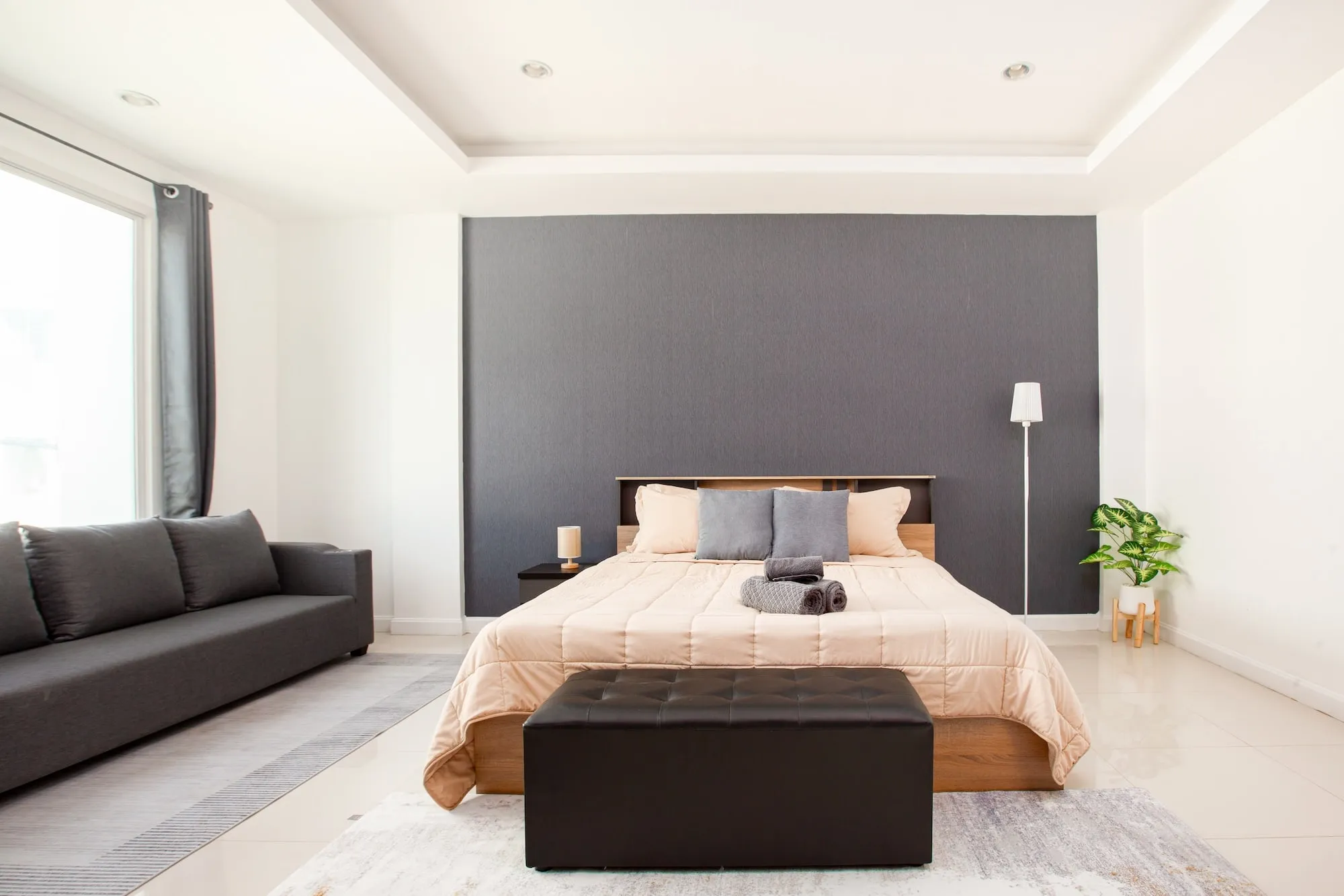 A Safehouse studio seen end to end, sofa, bed and floor lamp against the charcoal wall